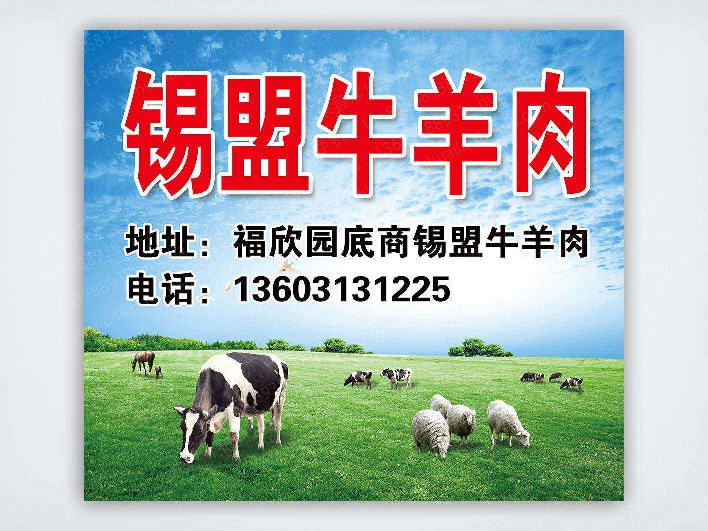 海报